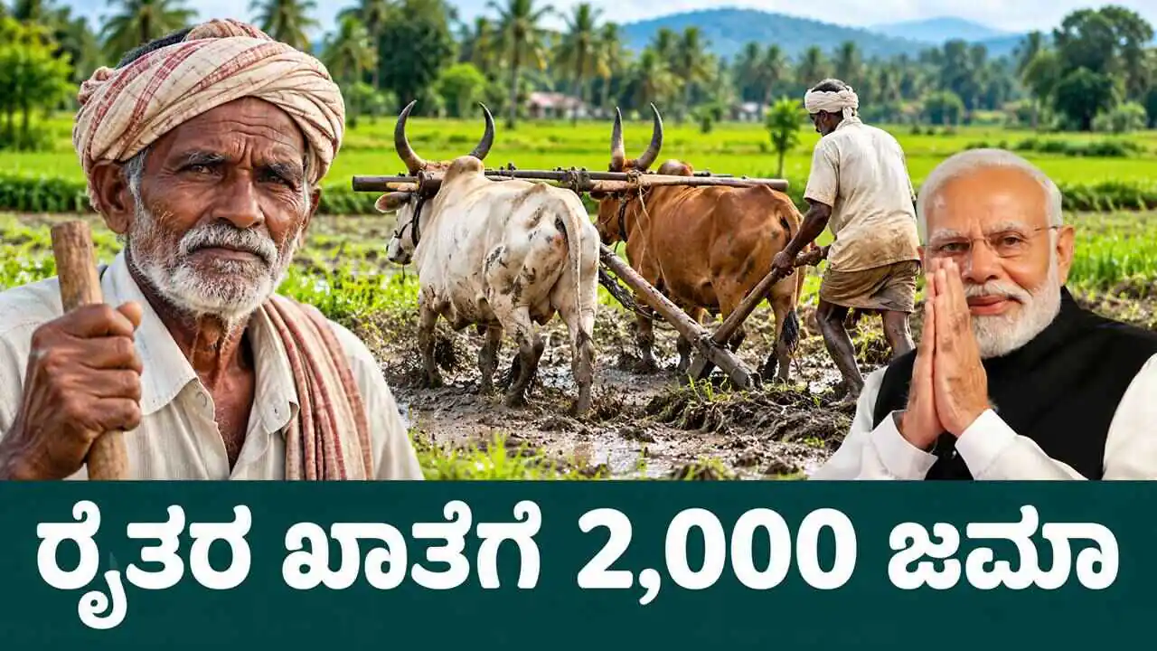 ದಸರಾ ಹಬ್ಬಕ್ಕೆ, ರೈತರ ಖಾತೆಗೆ ಬರಲಿದೆ 2,000 ಪಿಎಂ ಕಿಸಾನ್ ಹಣ! ಬಿಗ್ ಅಪ್ಡೇಟ್