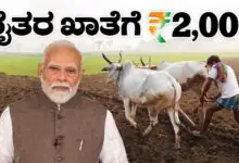 ರೈತರೇ ಖಾತೆ ಚೆಕ್ ಮಾಡಿ, PM Kisan ₹2,000 ಬಂದಿದೆಯಾ? ಹಣ ಬರದಿದ್ದರೆ ತಕ್ಷಣ ಹೀಗೆ ಮಾಡಿ