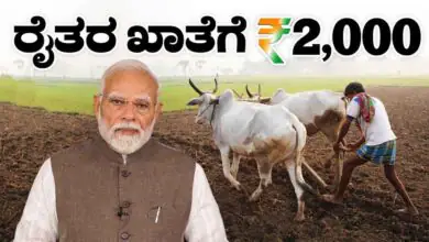ರೈತರೇ ಖಾತೆ ಚೆಕ್ ಮಾಡಿ, PM Kisan ₹2,000 ಬಂದಿದೆಯಾ? ಹಣ ಬರದಿದ್ದರೆ ತಕ್ಷಣ ಹೀಗೆ ಮಾಡಿ