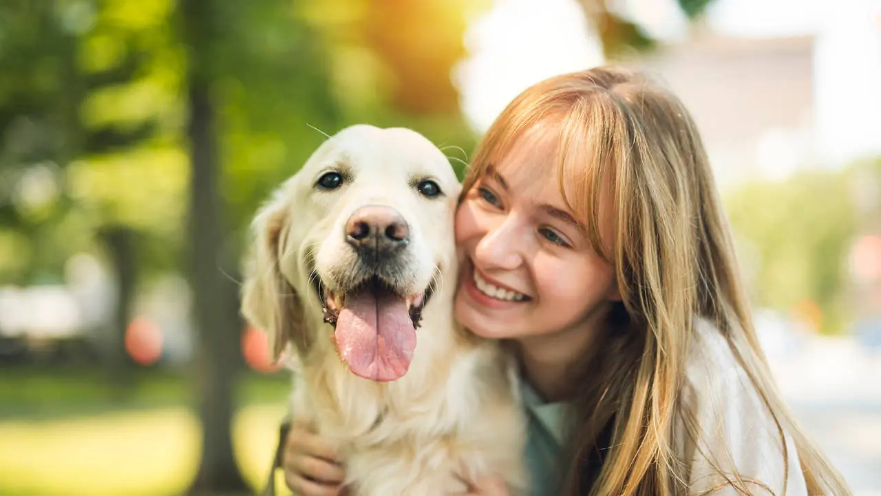 Pet Dog Owners