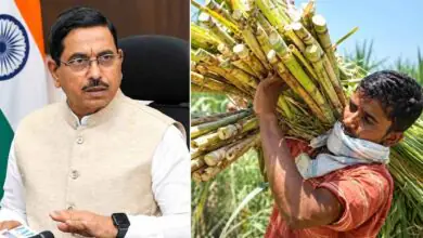 ಕರ್ನಾಟಕ ಕಬ್ಬು ಬೆಳೆಗಾರರಿಗೆ ಸಿಹಿಸುದ್ದಿ; ಸಮಸ್ಯೆ ಪರಿಹಾರಕ್ಕೆ ಕೇಂದ್ರದ ಹೊಸ ಹೆಜ್ಜೆ