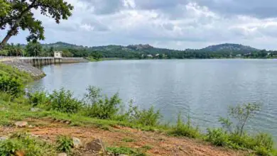 ರೈತರಿಗೆ ನಿರಾಳ; ಬರದಿಂದ ಕಂಗೆಟ್ಟಿದ್ದ ಬೆಂಗಳೂರು ದಕ್ಷಿಣ ಜಿಲ್ಲೆಯ ಹಲವು ಕೆರೆಗಳು ಭರ್ತಿ