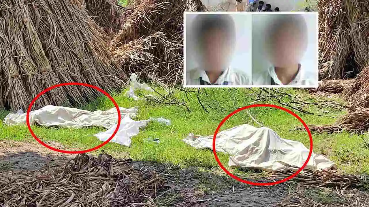 ತನ್ನ ಅವಳಿ ಮಕ್ಕಳನ್ನು ಕೊಂದು ಹೊಲದಲ್ಲಿ ಬಿಸಾಡಿದ ತಾಯಿ! ತನಿಖೆಯಲ್ಲಿ ಬಯಲಾಯ್ತು ಬೆಚ್ಚಿಬೀಳುವ ಸಂಗತಿ