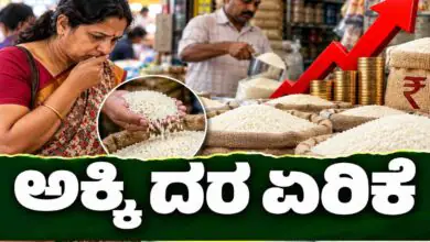 ಮಳೆ ಕೊರತೆ, ಇಳುವರಿ ಕುಸಿತ! ಸತತ 4 ತಿಂಗಳಲ್ಲಿ 4ನೇ ಬಾರಿ ಅಕ್ಕಿ ದರ ಏರಿಕೆ