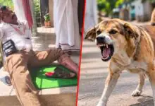 ವಿದ್ಯುತ್ ಬಿಲ್ ಕೊಡಲು ಹೋದ ಸಿಬ್ಬಂದಿ ಮೇಲೆ ಬೀದಿ ನಾಯಿ ದಾಳಿ