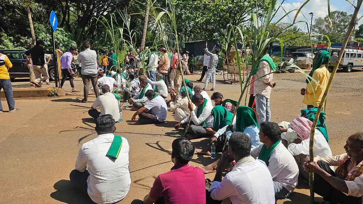 The Sugarcane Farmers Protest
