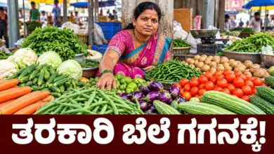 ತರಕಾರಿ ಬೆಲೆ ಗಗನಕ್ಕೆ! ಈರುಳ್ಳಿ, ಅಕ್ಕಿ, ಬೇಳೆ ಸೇರಿದಂತೆ ಅಗತ್ಯ ವಸ್ತುಗಳ ದರ ಭಾರೀ ಏರಿಕೆ