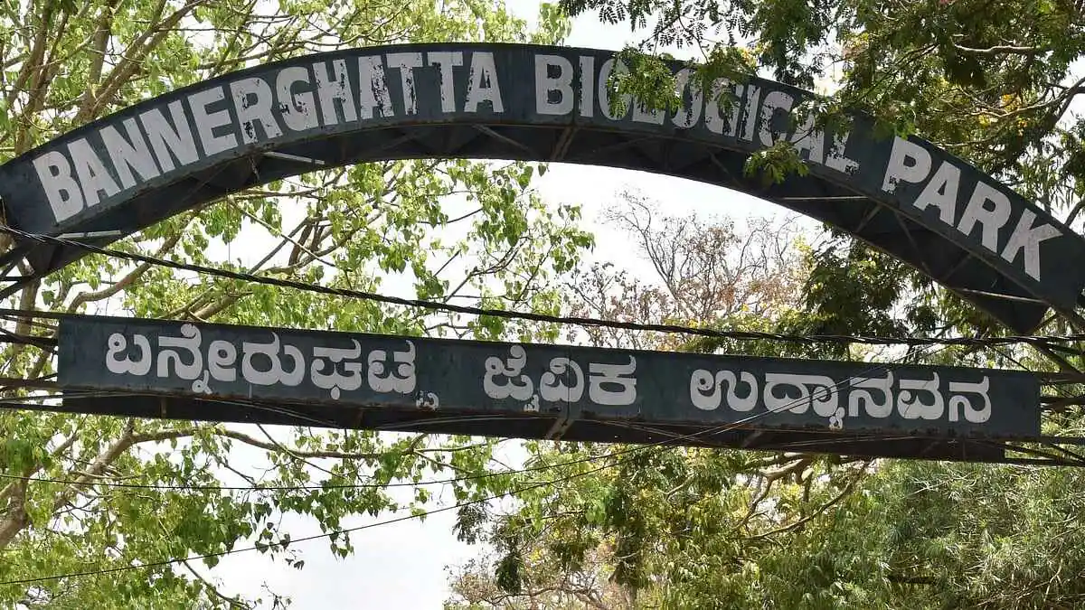 bannerghatta zoo