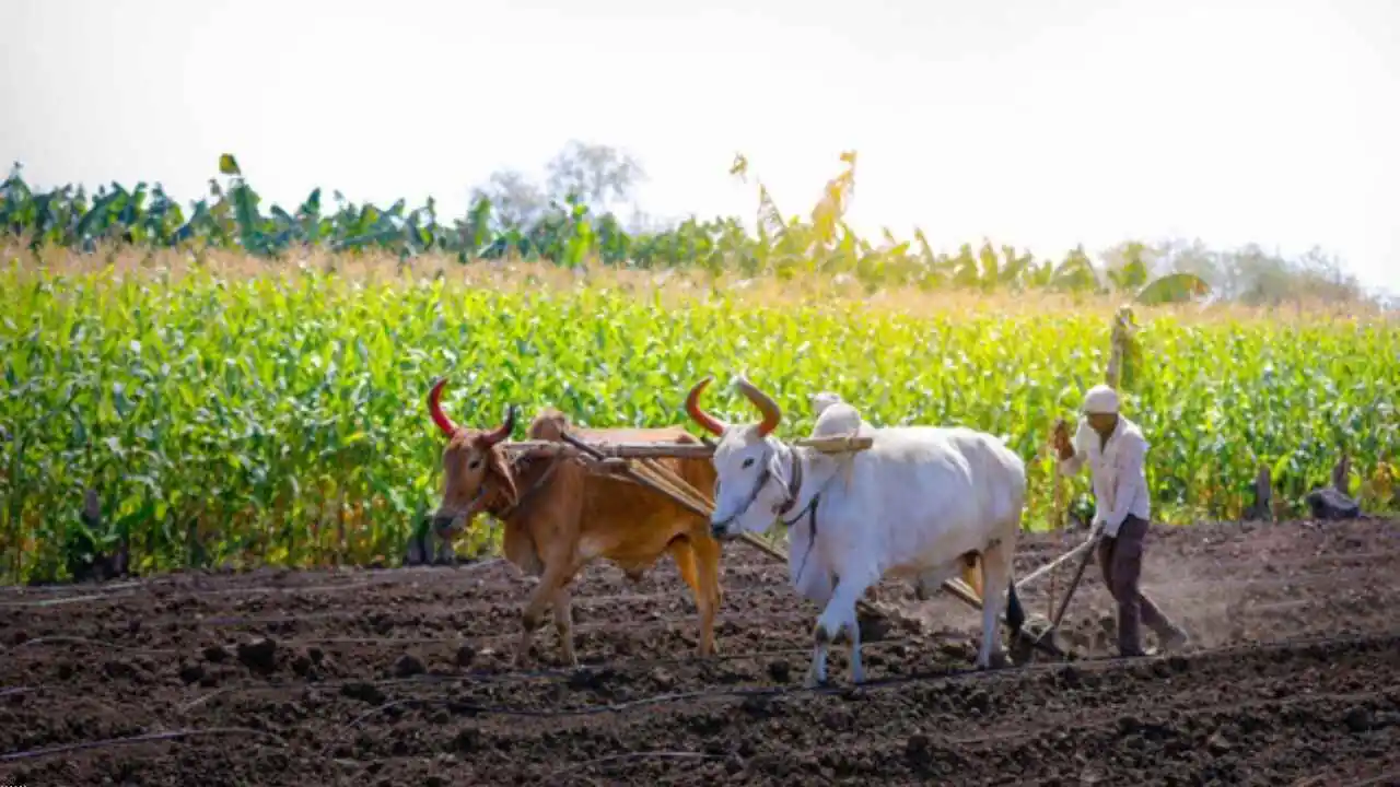 indian Farmers